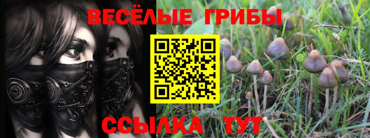 Железноводск  Галлюциногенные грибы GOLDEN TEACHER  Псилоцибиновые грибы Psilocybe  Вход с VPN 